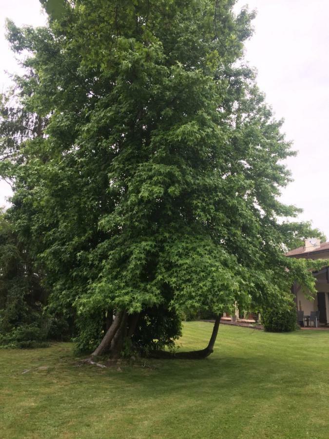 Mariandre Chambre Chez L'Habitant Biscarrosse Exteriér fotografie